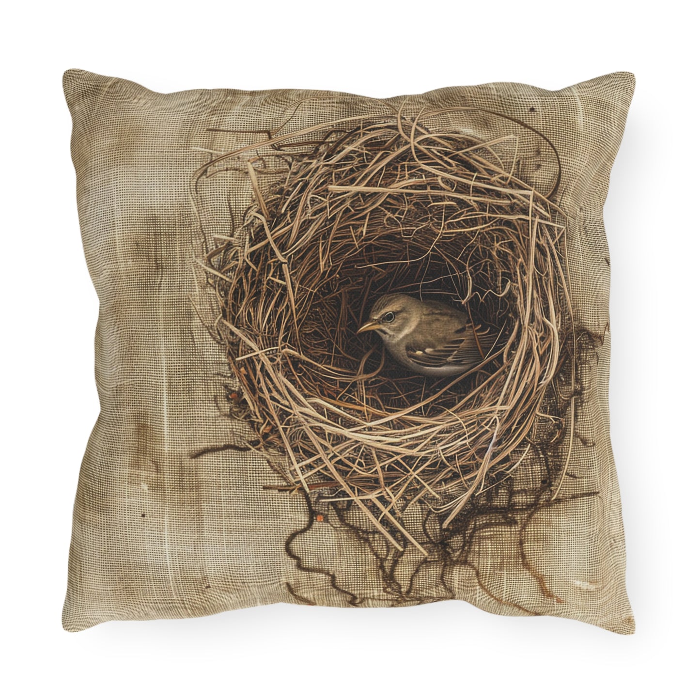 Bird in the Nest Outdoor Pillows