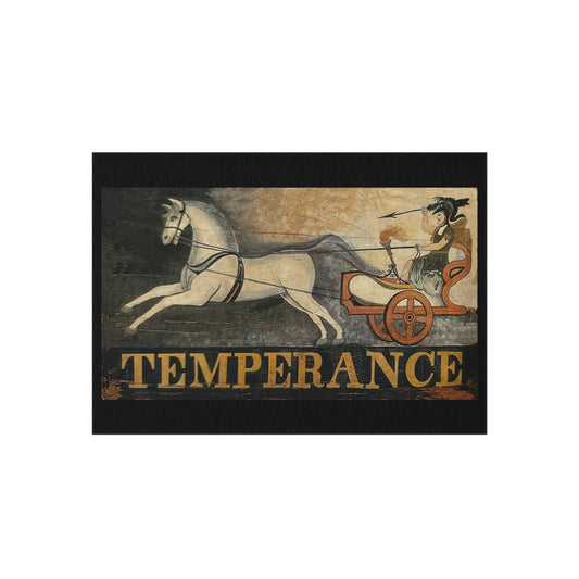 Vintage Temperance Outdoor Rug - Stylish and Durable for Patios & Gardens